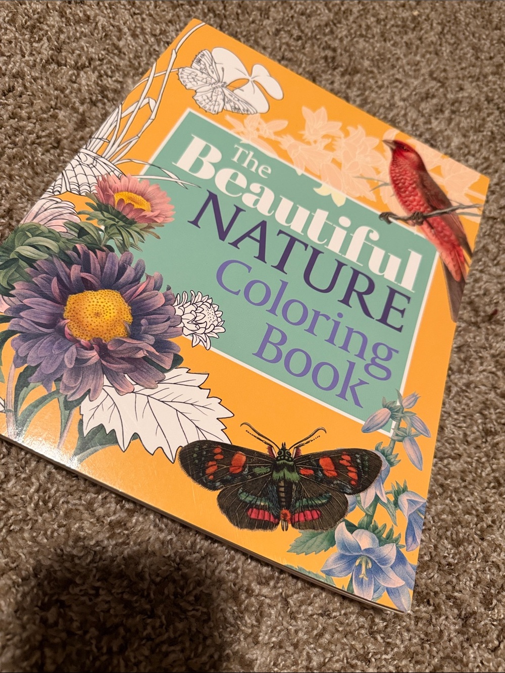 HUGE Beautiful Nature Coloring Book!!